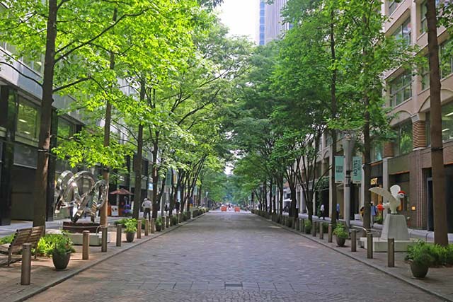 譲渡医院がある東京都千代田区の街並み
